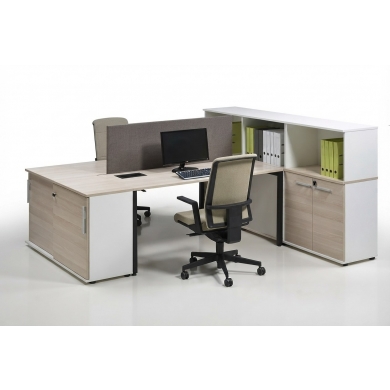 Akira Ofis Çalışma Grubu